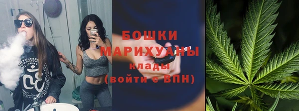 ПСИЛОЦИБИНОВЫЕ ГРИБЫ Коряжма